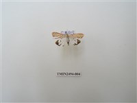 藏品(擬三色星燈蛾)的圖片